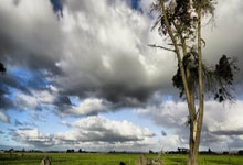 中乙联赛第7轮最佳球迷组织评选结果公布