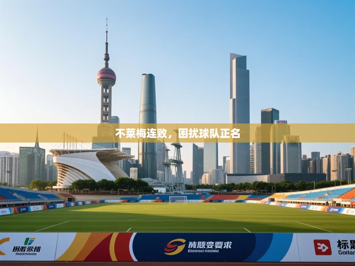 不莱梅连败，困扰球队正名  第2张